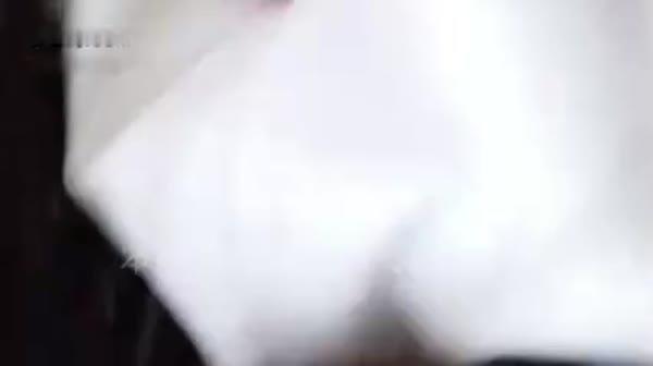 骚逼黑丝空姐